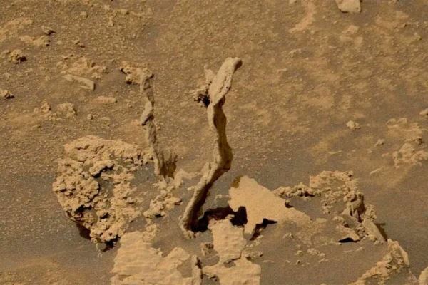 Марсоход Curiosity сфотографировал нечто, похожее на цветы или шипы на Марсе 